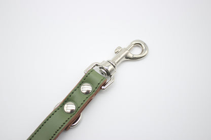 FinestPaw_Leine_Klassik_Premium_Fuehrleine_salbei_all_all_silber_karabiner