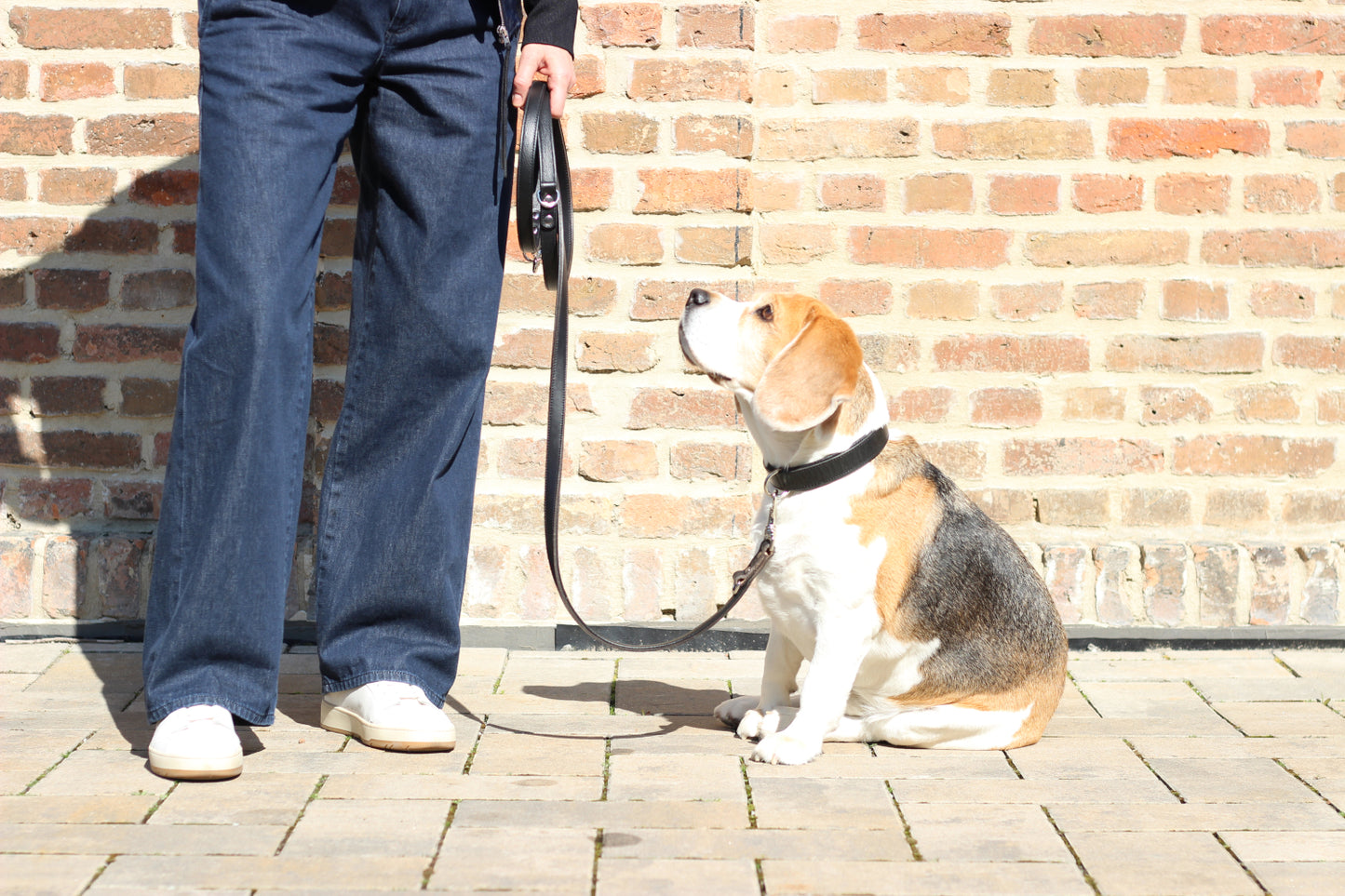 FinestPaw_Leine_Klassik_Premium_Fuehrleine_schwarz_all_all_all_set3