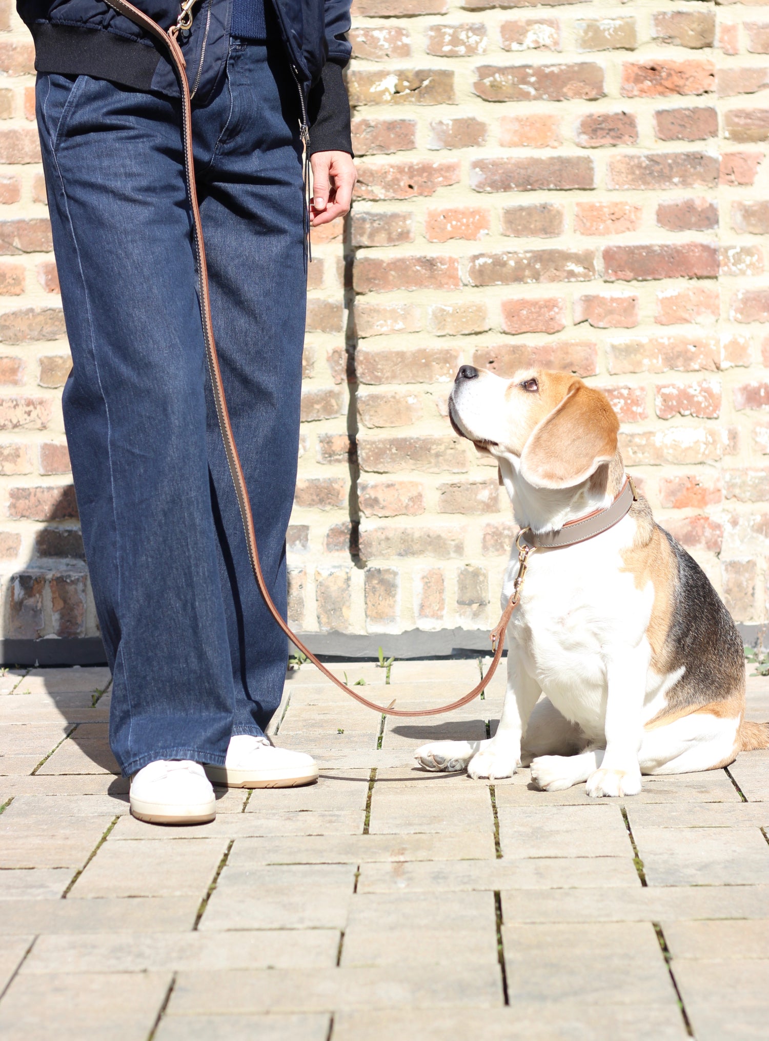 FinestPaw_Leine_Klassik_Premium_Fuehrleine_taupe_all_all_all_set1