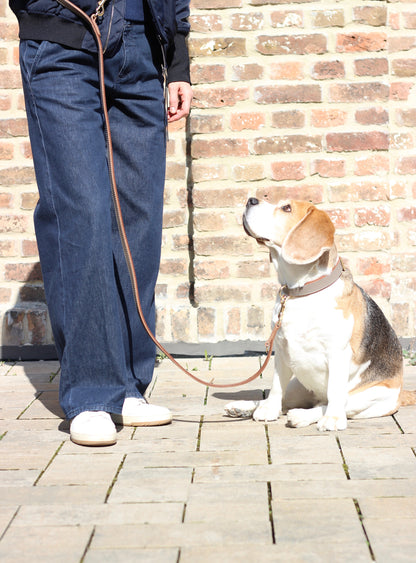 FinestPaw_Leine_Klassik_Premium_Fuehrleine_taupe_all_all_all_set1