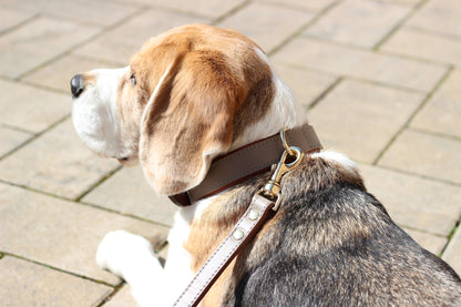 FinestPaw_Leine_Klassik_Premium_Fuehrleine_taupe_all_all_all_set2