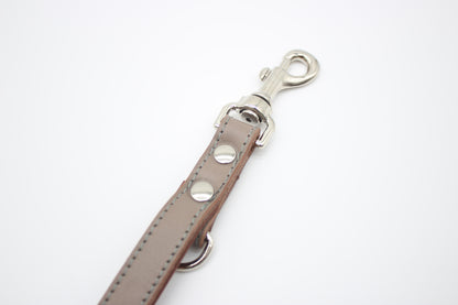 FinestPaw_Leine_Klassik_Premium_Fuehrleine_taupe_all_all_silber_karabiner