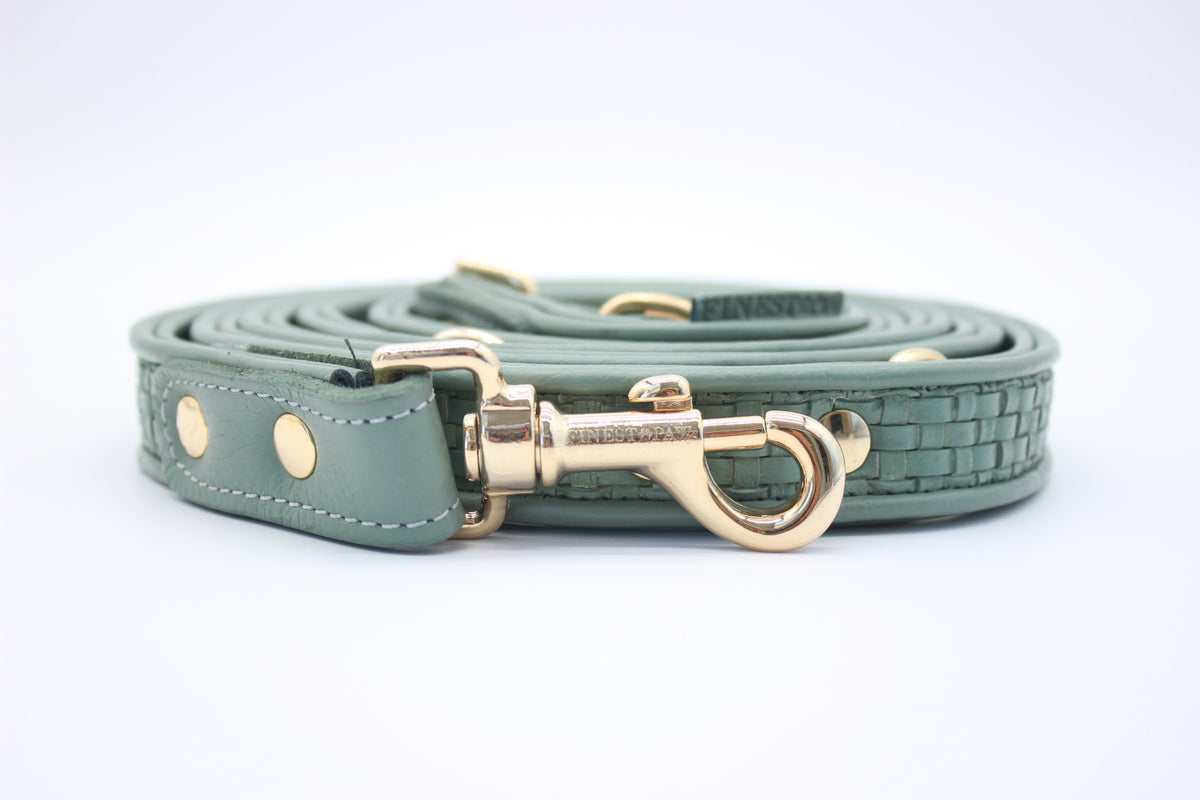 FinestPaw_Leine_Signature_Fuehrleine_pistazie_all_2.5cm_all_front