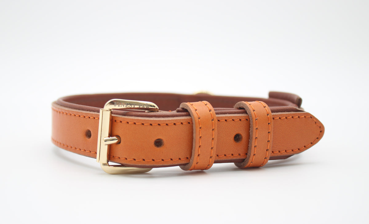 FinestPaw_Halsband_Klassik_Premium_orange_m_gold_front