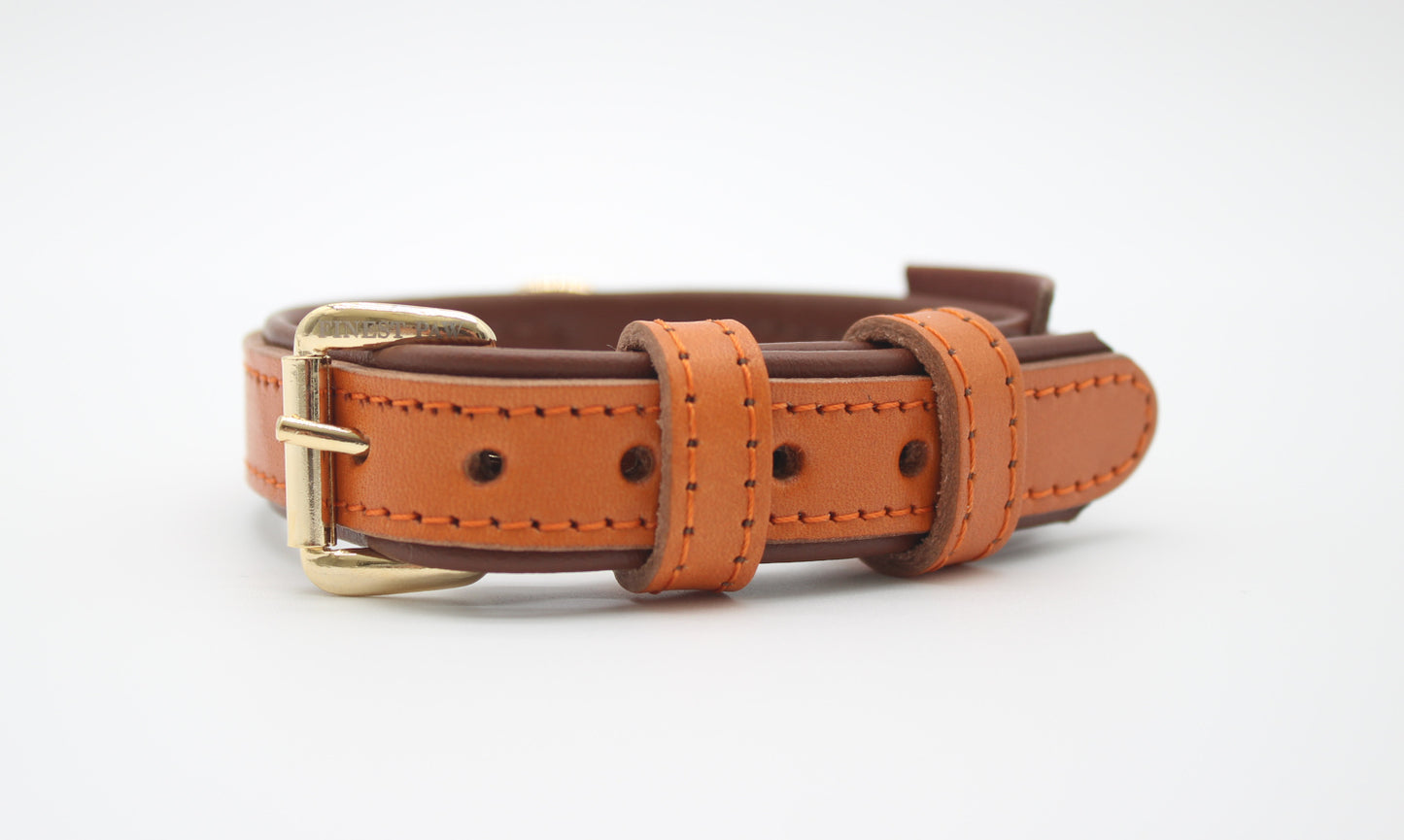 FinestPaw_Halsband_Klassik_Premium_orange_xs_gold_front