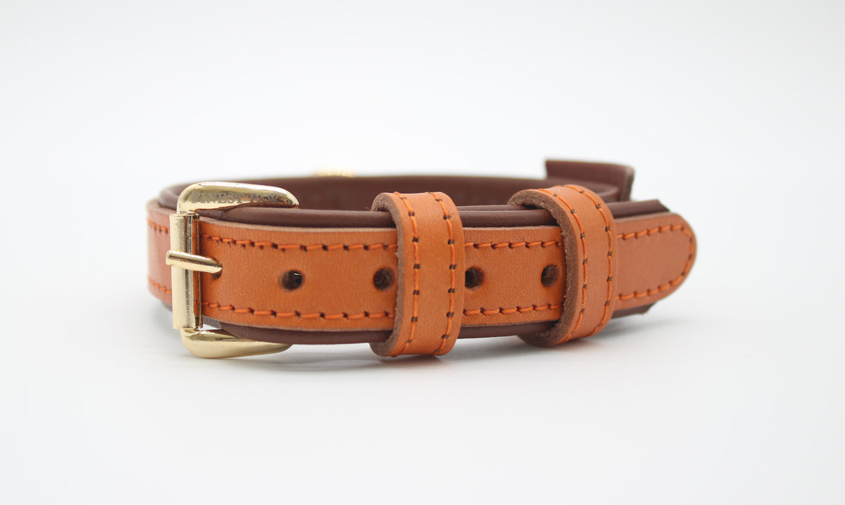 FinestPaw_Halsband_Klassik_Premium_orange_xs_gold_front