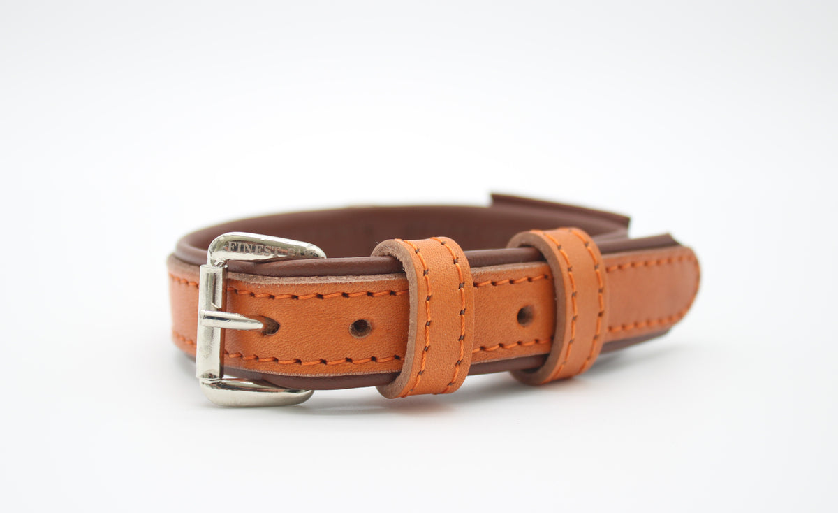 FinestPaw_Halsband_Klassik_Premium_orange_xs_silber_front
