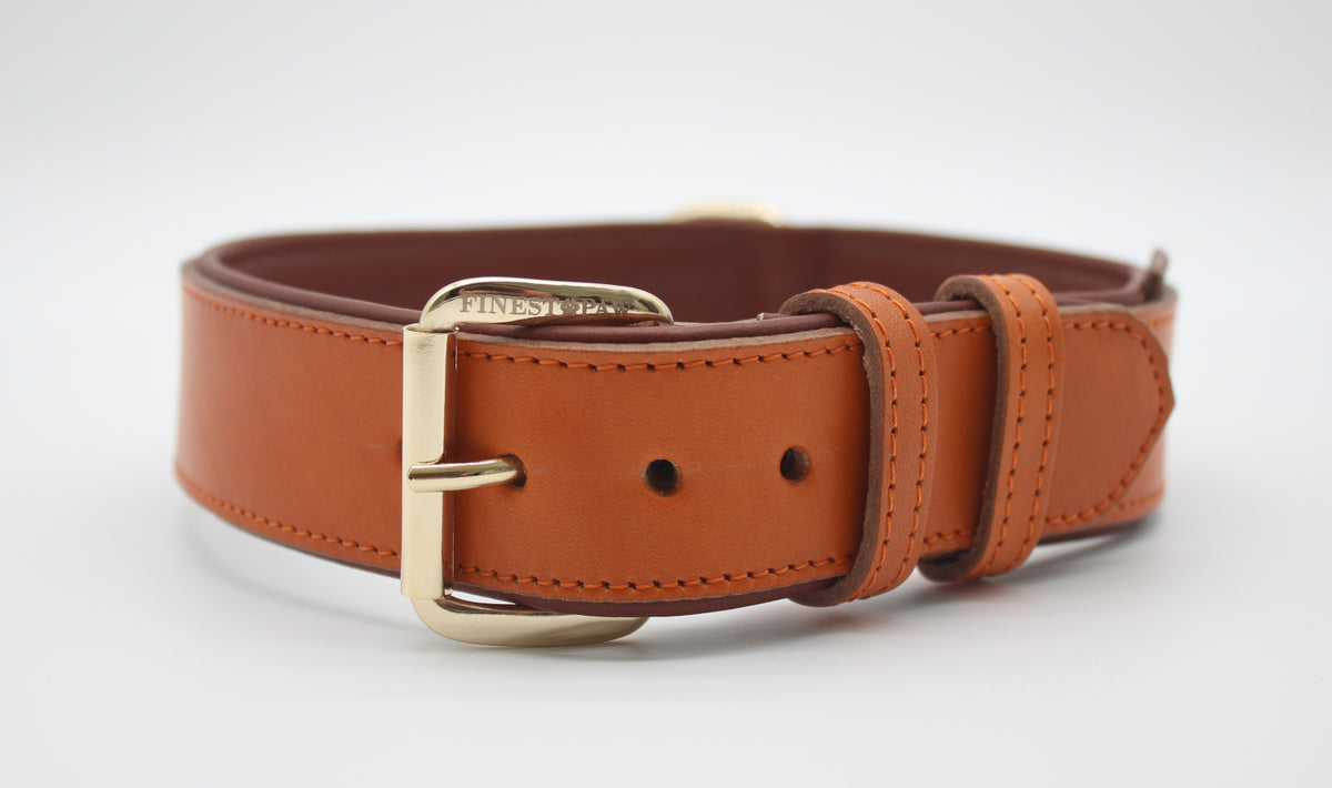 FinestPaw_Halsband_Klassik_Premium_orange_xxl_gold_front