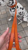 FinestPaw Flechtkunst Hundehalsband und Hundeleine Set Papaya Cooper